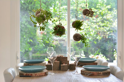 Plant&Nous à Saint-Médard-en-Jalles