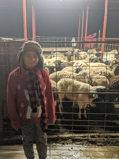 Meat Wholesaler «Lizze Custom Processing», reviews and photos, 7310 Pine Ave, Chino, CA 91708, USA