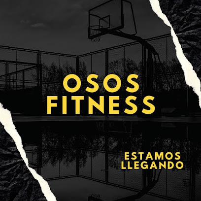 Osos Implementos fitness