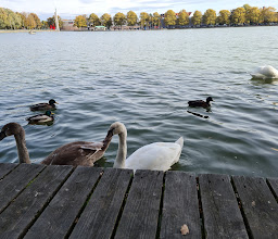 Hannover Maschsee photo