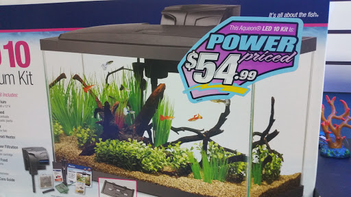 Tropical Fish Store «Blue Reef Aquatics», reviews and photos, 5960 Losee Rd, North Las Vegas, NV 89081, USA