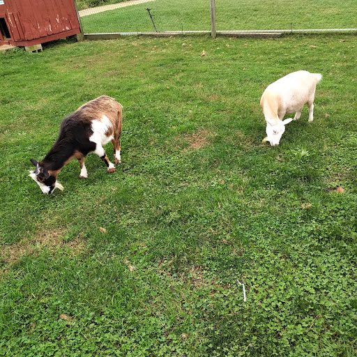 Farm «Four Town Farm», reviews and photos, 90 George St, Seekonk, MA 02771, USA