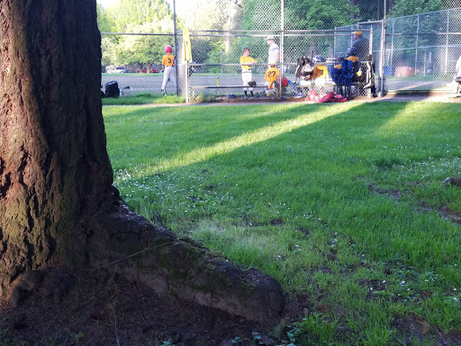 Park «Sellwood Park», reviews and photos, SE Miller St & SE 7th Ave, Portland, OR 97202, USA