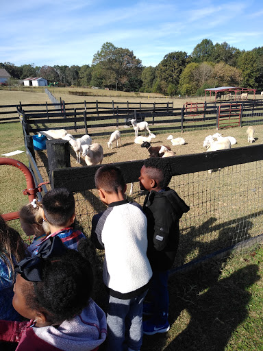 Wedding Venue «Rancho Alegre Farm», reviews and photos, 2225 Givens Rd, Dacula, GA 30019, USA