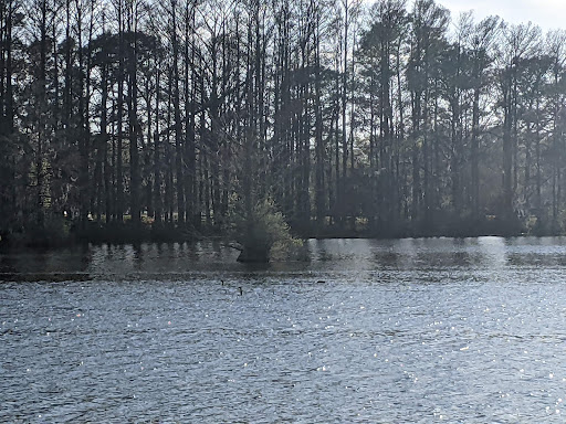 Greenfield Lake Boat Ramp