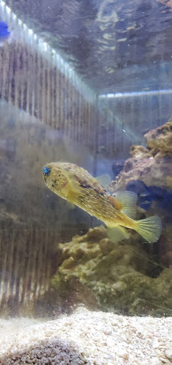 Pet Store «Pets & Such», reviews and photos, 3680 3500 S, West Valley City, UT 84120, USA