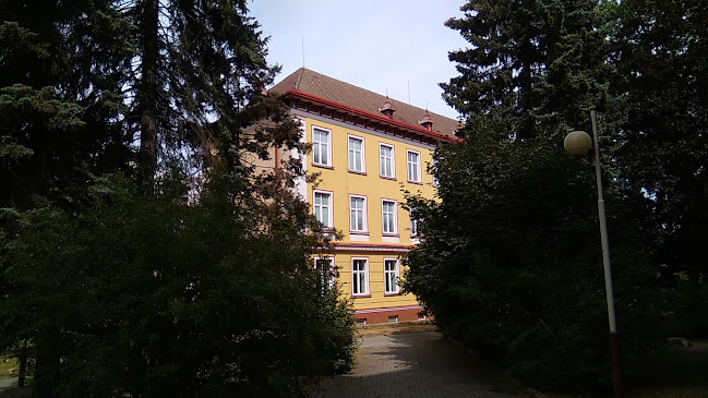 Základní škola Pátova, Česká Lípa - Česká Lípa