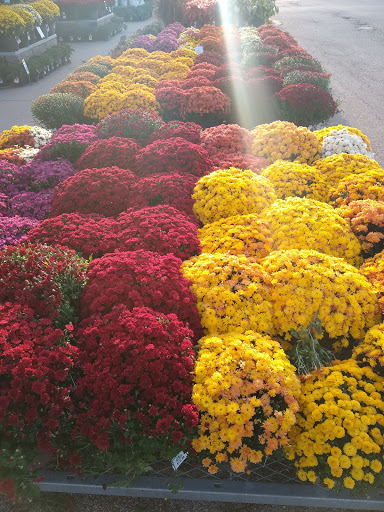 Home Improvement Store «The Home Depot», reviews and photos, 6625 Grand Ave, Gurnee, IL 60031, USA