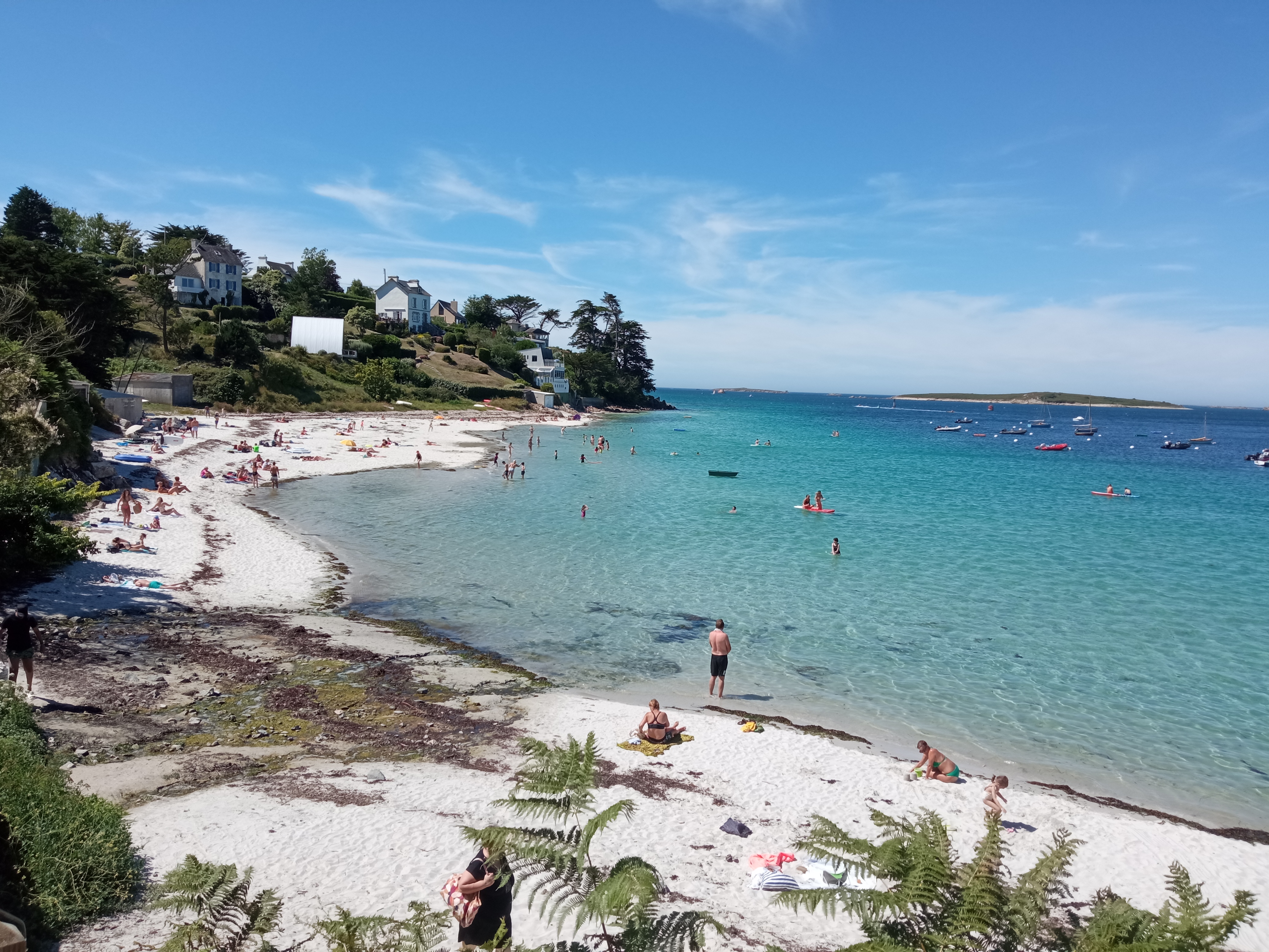 Photo n° 2 de l'avis de Benoit.e fait le 17/07/2022 à 17:16