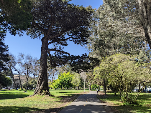Park «Huntington Park», reviews and photos, 1100 California St, San Francisco, CA 94108, USA
