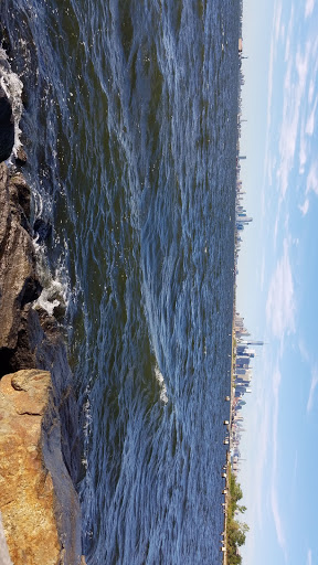 Park «Bush Terminal Piers Park», reviews and photos, Marginal St. & 43rd Street, Brooklyn, NY 11232, USA