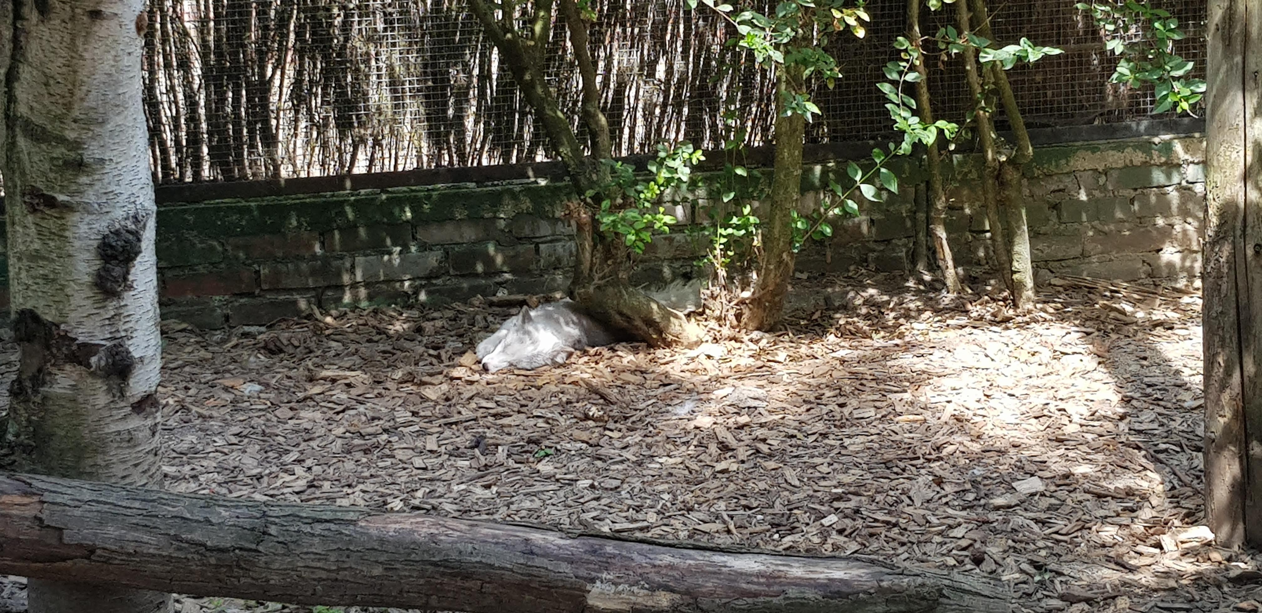 Photo n° 18 de l'avis de Nuk3d.t fait le 13/10/2019 à 18:58