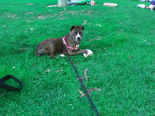 Park «Skyline Park», reviews and photos, 16th St, Denver, CO 80202, USA