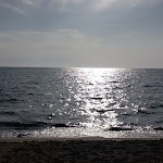 Photo n°1 de l'avis de Cristiano.o fait le 14/07/2023 à 08:42 sur le  Ai Delfini à Albinia, Orbetello