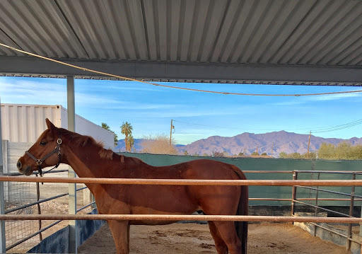 Horse boarding stable North Las Vegas