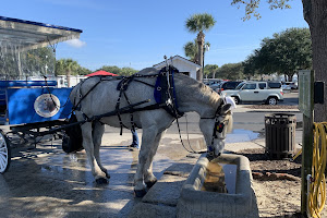 Southurn Rose Carriage Tours