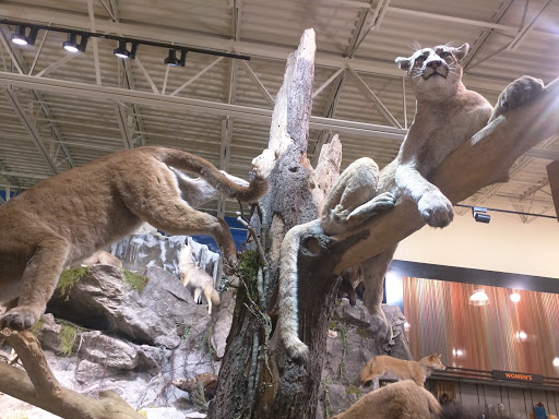 Outdoor Sports Store «Field & Stream», reviews and photos, 2075 Interchange Rd, Erie, PA 16509, USA