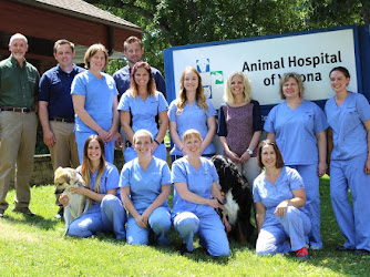 Animal Hospital of Verona