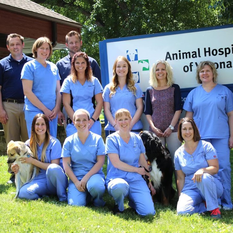 Animal Hospital of Verona