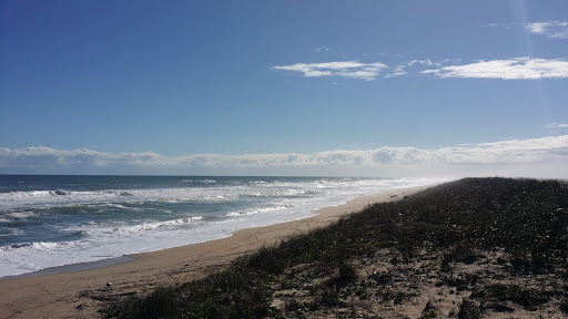 Nature Preserve «Scottsmoor Flatwoods Sanctuary East», reviews and photos, 6000 Magoon Ave, Mims, FL 32754, USA