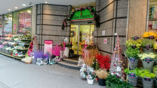 Florist schools in Prague