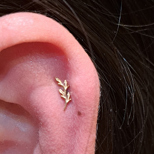 Explore simple colorado tattoo ideas, creative tattoo ideas in Las Vegas, available at Club Tattoo The Venetian Grand Canal Shoppes