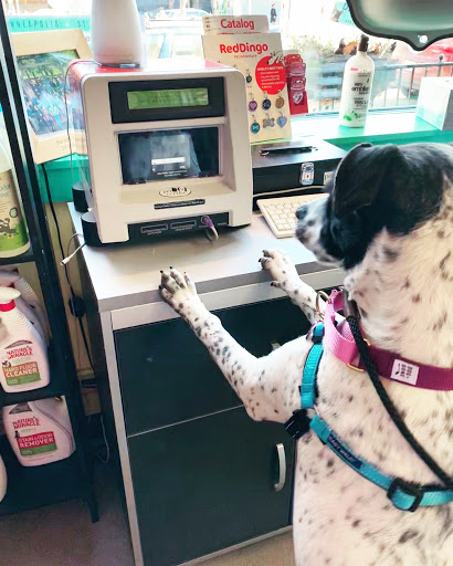 Pet Supply Store «Urban Tails Pet Supply», reviews and photos, 2106 Lyndale Ave S, Minneapolis, MN 55405, USA