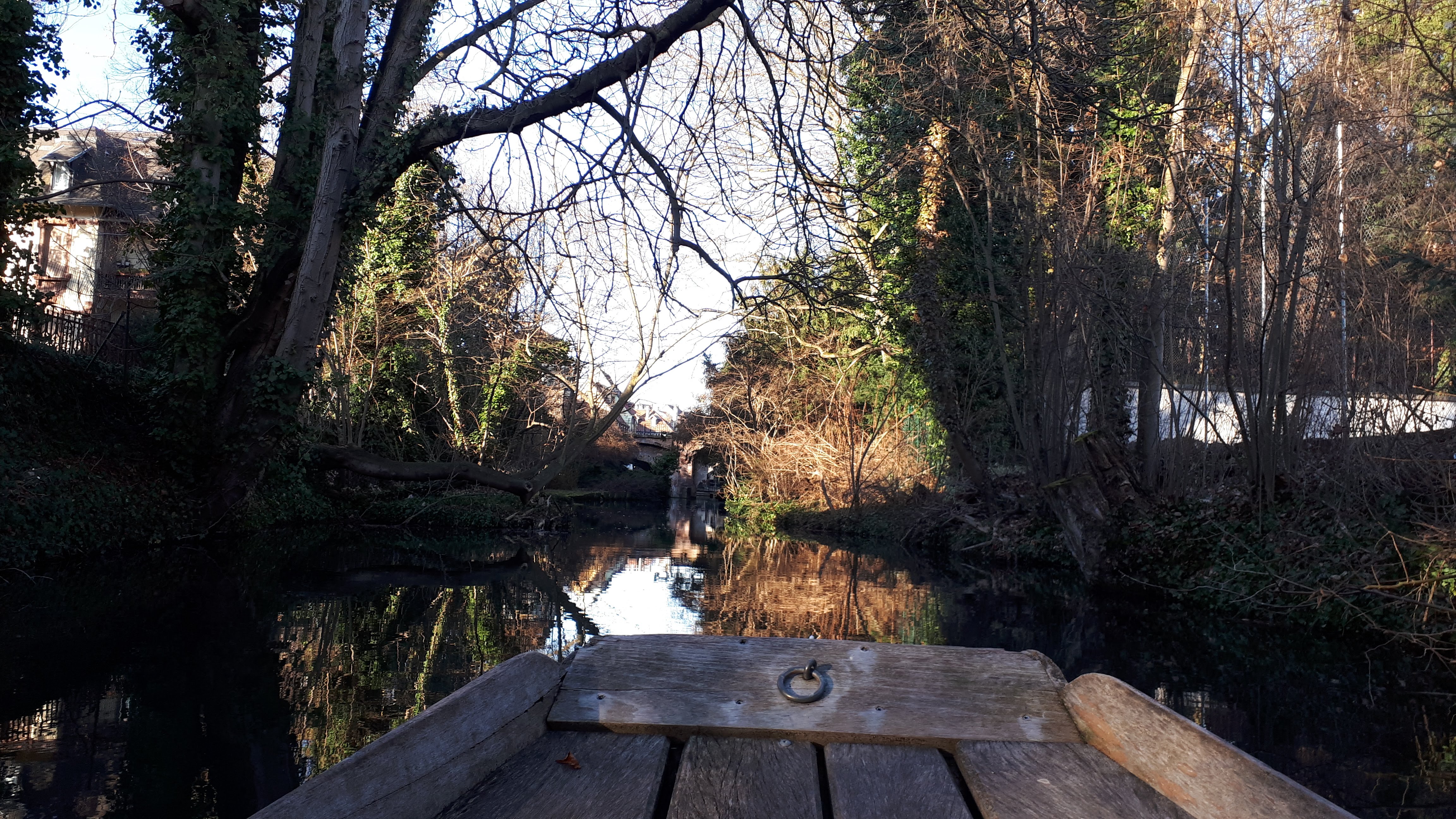 Photo n° 5 de l'avis de Emilie.l fait le 16/02/2019 à 15:56