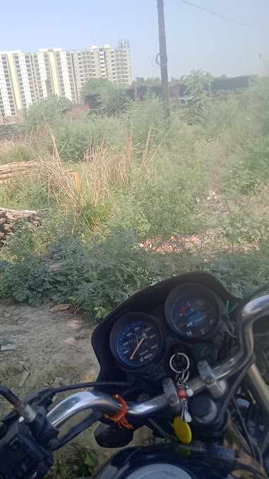 Google Maps image 25