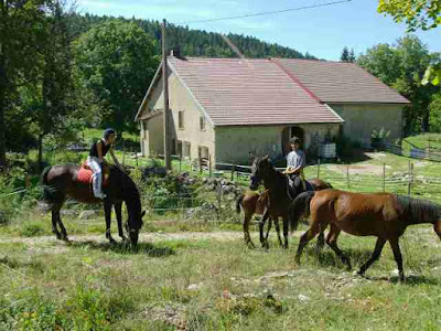 Ferme Equestre de la Pelaisse à Longchaumois
