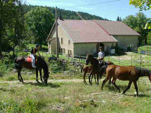 Ferme Equestre de la Pelaisse à Longchaumois