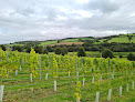 Alder Vineyard