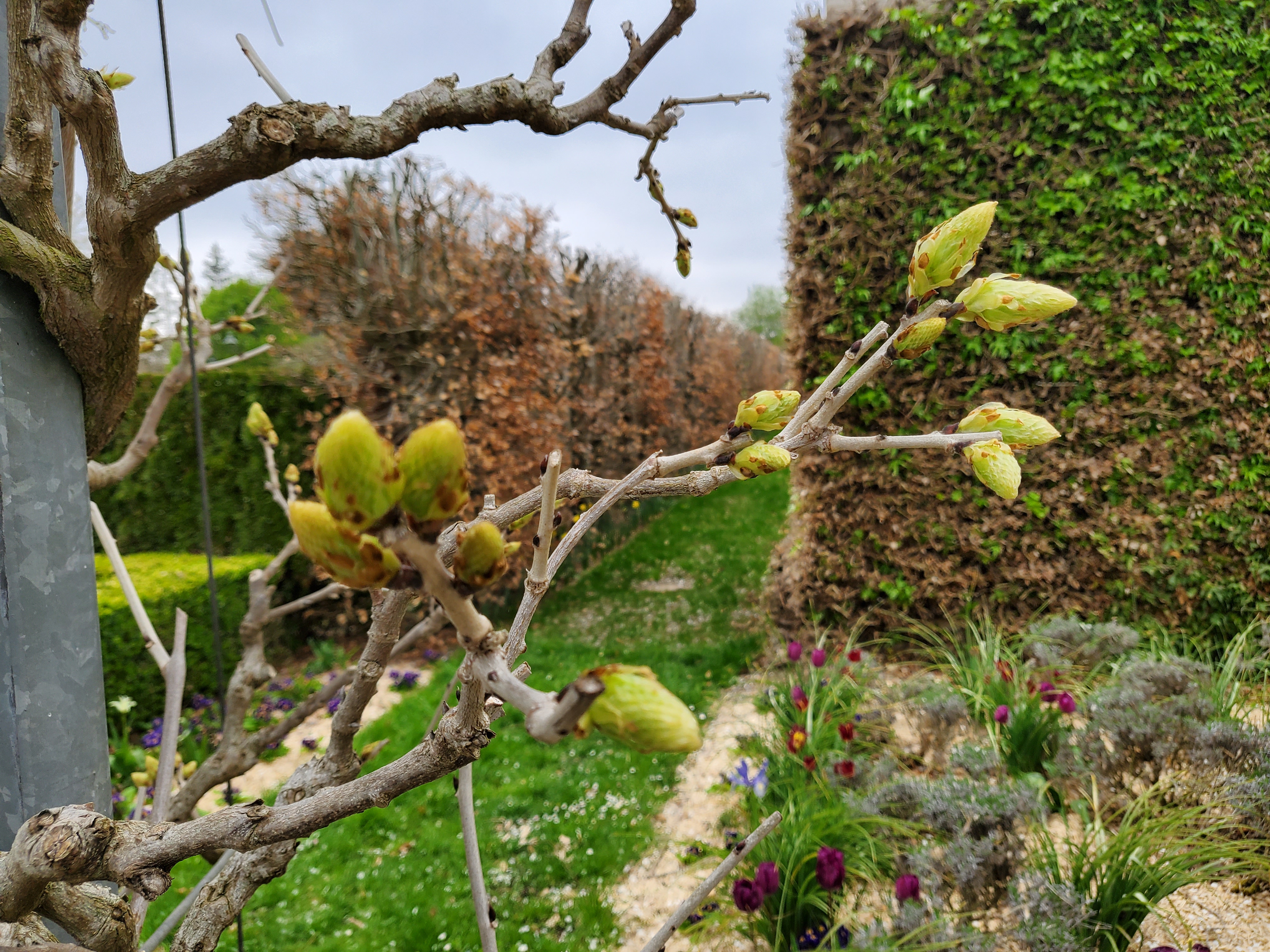 Photo n° 3 de l'avis de Ghislain.h fait le 17/04/2023 à 17:39