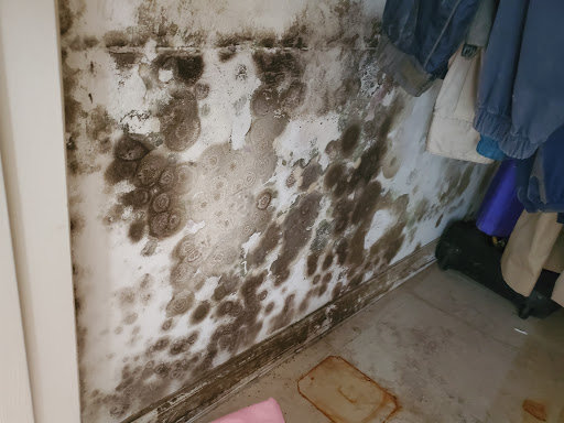 Loss Adjuster «Reliant Adjusters Group Public Insurance Adjuster», reviews and photos