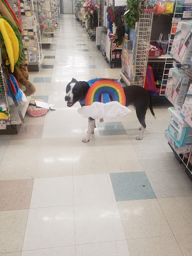 Craft Store «Michaels», reviews and photos, 729 E Huntington Dr, Monrovia, CA 91016, USA