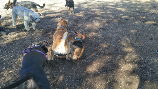 Dog Park «Thomas Bull Memorial Park», reviews and photos, 211 New York 416, Montgomery, NY 12549, USA