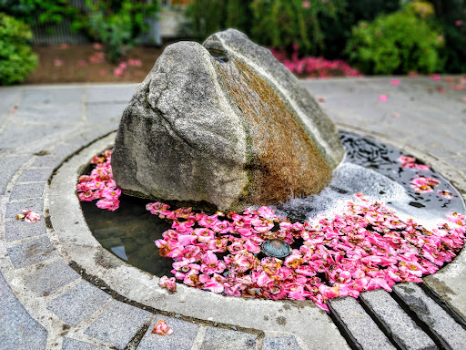 Park «Wilburton Hill Park», reviews and photos, 12400 Main St, Bellevue, WA 98005, USA