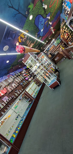 Vaporizer Store «Cloud 9 Smoke Co», reviews and photos, 180 Riverstone Pkwy #100, Canton, GA 30114, USA