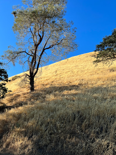 Poppy Ridge Golf Course image