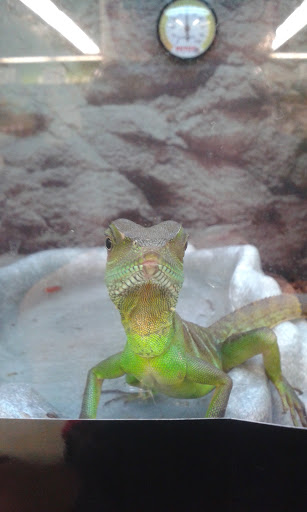 Pet Supply Store «Petco Animal Supplies», reviews and photos, 324 S College Rd, Wilmington, NC 28403, USA