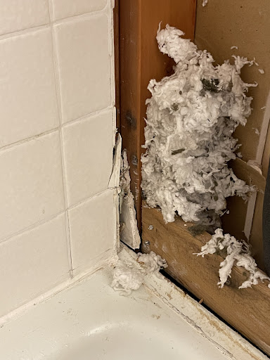 Plumber «Roto-Rooter Plumbing & Drain Services», reviews and photos, 936 E 18th Ave, Denver, CO 80218, USA