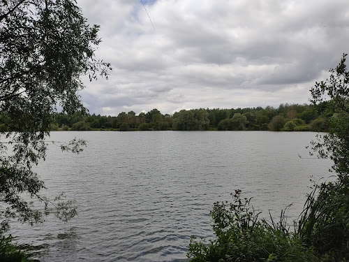 Etang des Vingtaines à Oulins