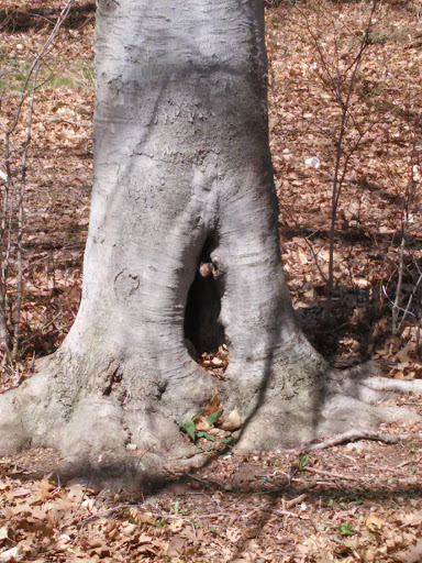 Golf Course «Keney Park Golf Course», reviews and photos, 171 Windsor Ave, Windsor, CT 06095, USA