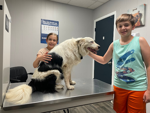 Woodland Animal Clinic