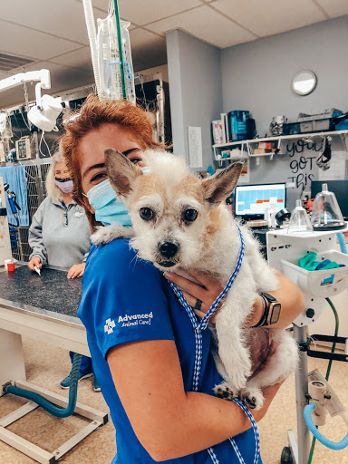 Advanced Animal Care Emergency image