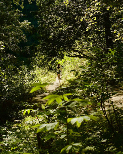 Waterfall «Latourell Falls», reviews and photos, Historic Columbia River Hwy, Corbett, OR 97019, USA