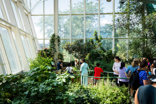 Museum «Peggy Notebaert Nature Museum», reviews and photos, 2430 N Cannon Dr, Chicago, IL 60614, USA