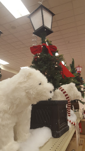 Home Goods Store «Christmas Tree Shops», reviews and photos, 41 Gusabel Ave, Nashua, NH 03063, USA