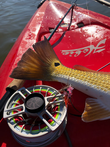 Canoe & Kayak Store «Austin Canoe & Kayak», reviews and photos, 4554 S Interstate Hwy 35, San Marcos, TX 78666, USA