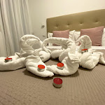 Photo n°1 de l'avis de Davide.a fait le 16/06/2021 à 22:04 sur le  Hotel Tourist Meublé à Rimini